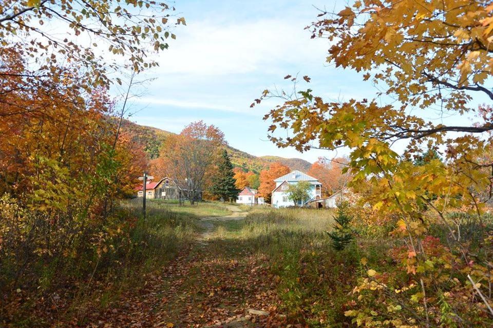 Auberge De Jeunesse Du Domaine A Liguori Petite-Riviere-Saint-Francois Exterior photo